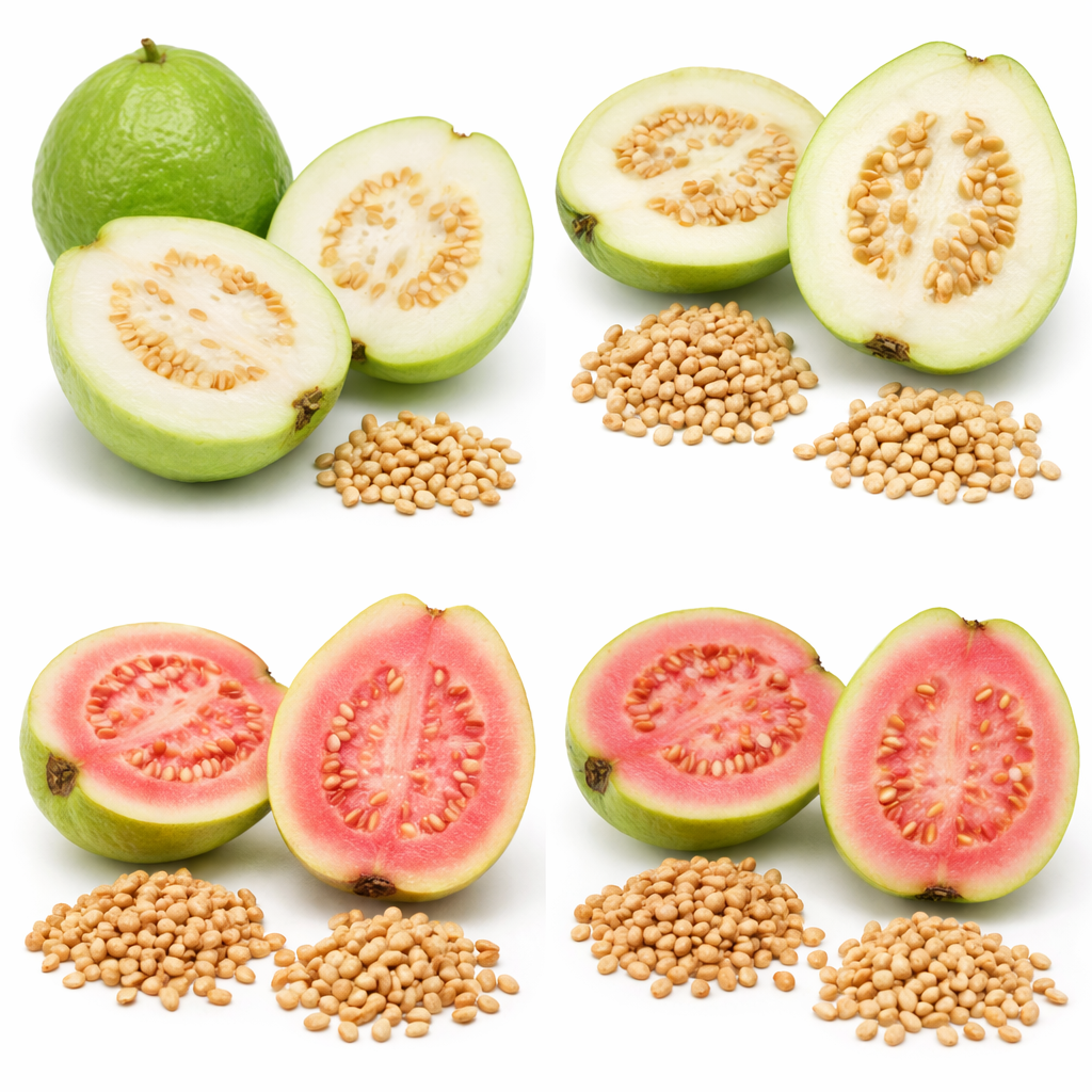 GUAVA SEEDS