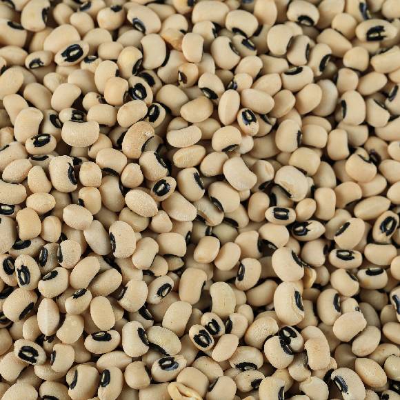 BLACK-EYED PEAS SEED