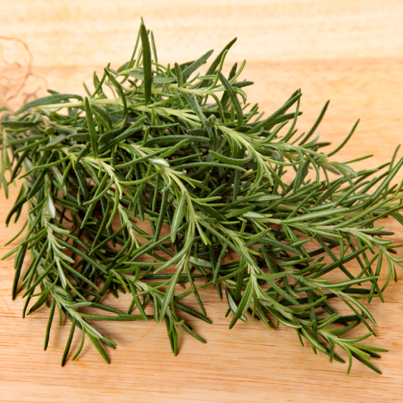 ROSEMARY