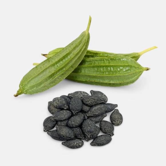 RIDGE GOURD SEED